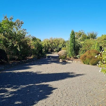 Bidwills Gem Villa Greytown Dış mekan fotoğraf