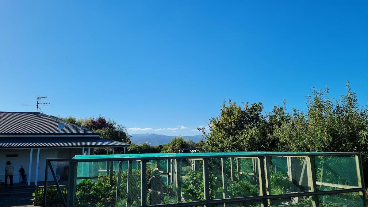 Bidwills Gem Villa Greytown Dış mekan fotoğraf